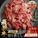 【ふるさと納税】 【訳あり】 [A5等級] 飛騨牛 切り落とし 定期便 | 400g 500g 1kg 3回 5回 6回 12回 半年 1年 年間 楽天限定 牛肉 肉 和牛 国産牛 黒毛和牛 牛肉 肉 焼肉 すき焼き a5 不揃い 小分け 冷凍 本巣市 岐阜 トキノ屋 食品 [mt403] 30000円 三万円