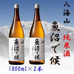 【魚沼地域限定】純米酒 八海山「魚沼で候」1800ml×2本