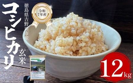 米 玄米 12kg （2㎏×6袋） コシヒカリ 令和7年度産 米 米 米