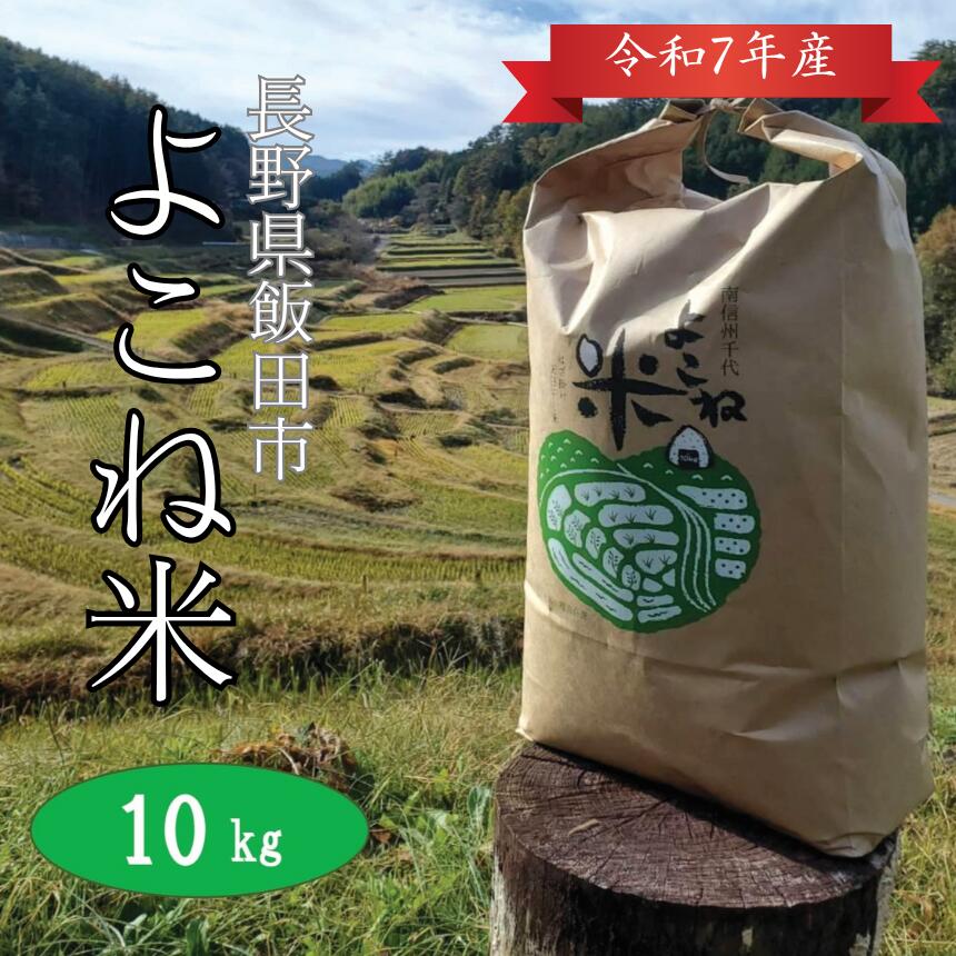 【ふるさと納税】よこね 米 コシヒカリ 精米 10kg | 米 お米 おこめ ご飯 ごはん コシヒカリ 長野県 飯田市
