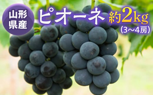 《先行予約 2025年度発送》ピオーネ約2kg(3～4房)  ぶどう ブドウ 葡萄 デザート フルーツ 果物 くだもの 果実 食品 山形県 FSY-0526