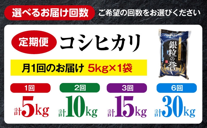こしひかり コシヒカリ 5kg 5キロ 米 白米 令和7年 R7年 定期便