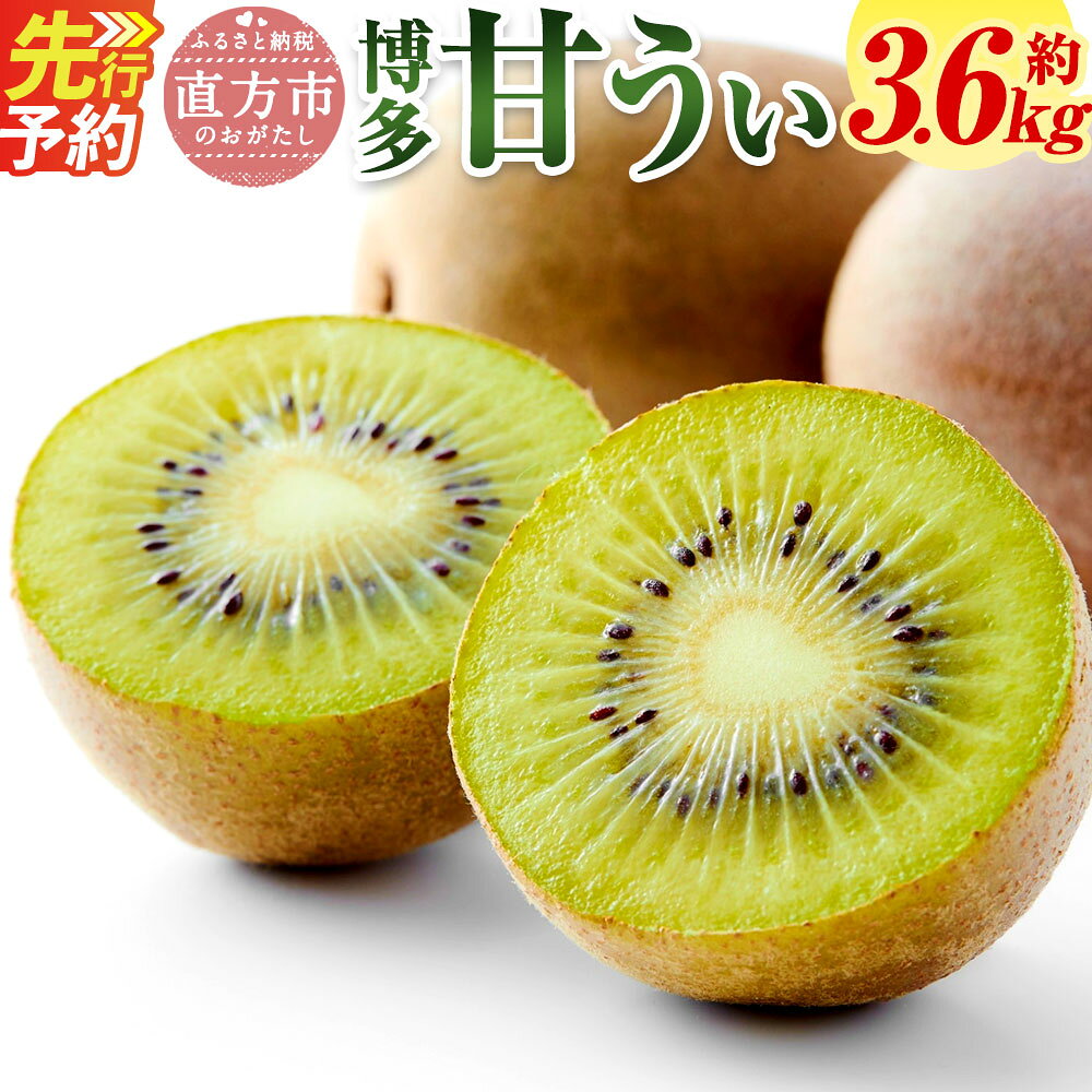 【ふるさと納税】【予約】 福岡県産 博多 甘うぃ 合計約3.6kg 20玉～27玉入り 【2026年10月下旬～11月下旬発送予定】 福岡県限定生産 糖度平均16度前後 キウイ キウイフルーツ 果物 フルーツ 福岡県産 九州産 国産 冷蔵 送料無料