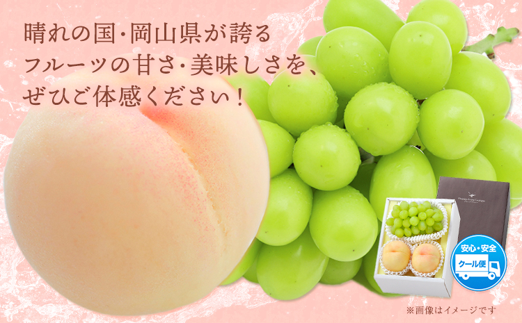 桃・シャインマスカット詰め合わせ 約1kg クール便 冷蔵便 桃 もも 葡萄 ブドウ ぶどうシャインマスカット マスカット フルーツ セット 先行予約 晴れの国おかやま館 《2024年8月下旬～9月中