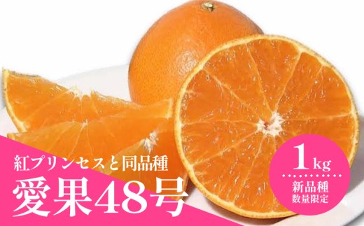 【2027年3月上旬頃から順次発送】  愛果48号（紅プリンセスと同品種） 約1.0kg ｜あいか 愛果 紅まどんな × 甘平 紅プリンセス と同品種 みかん 蜜柑 ミカン 柑橘 果物 フルーツ 松山市産みかん 新品種 甘い 美味しい 酸味 おすすめ お取り寄せ グルメ ギフト 期間 ご当地  愛媛県 松山市