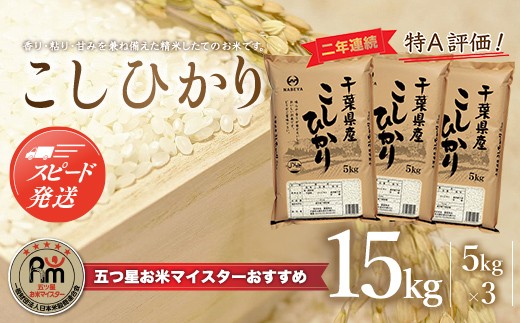 【最短2～7営業日出荷】令和7年産 2年連続特A評価!千葉県産コシヒカリ15kg（5kg×3袋） お米 15kg 千葉県産 大網白里市 コシヒカリ 米 精米 こめ 送料無料