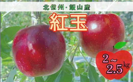 【先行予約】紅玉（こうぎょく）【約2～2.5kg(9〜14玉)】(Y-07)