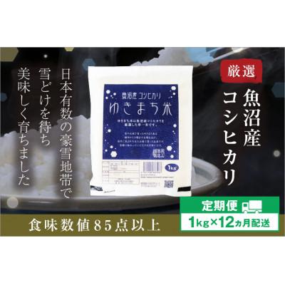 ふるさと納税 十日町市 【発送月固定定期便】【10月下旬より発送予定】ゆきまち米1kg厳選された魚沼産コシヒカリ全12回
