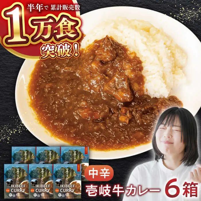【お中元】壱岐牛カレー中辛づくし《壱岐市》【壱岐フードファクトリー】常温配送 カレー ご当地カレー レトルト 簡単調理 [JDW041]