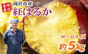 【ふるさと納税】 さつまいも 紅はるか 5kg サイズ おすすめ おまかせ 5キロ サツマイモ さつま芋 薩摩芋 スイートポテト 焼き芋 てんぷら 秋 煮物 大学芋 干し芋 きんとん 食物繊維 おやつ デザート 甘い あまい もっちり 産地直送 岩手県 滝沢市 送料無料 駿河農園ベジスル