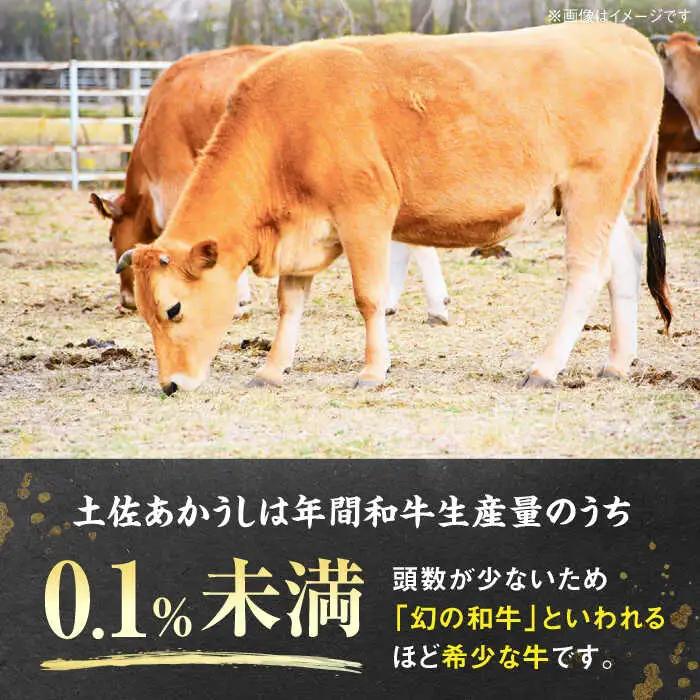 【4回定期便】土佐あかうしサーロイン&モモステーキセット 計約1kg【幻の和牛の贅沢セット】【株式会社Dorago】[ATAM040]