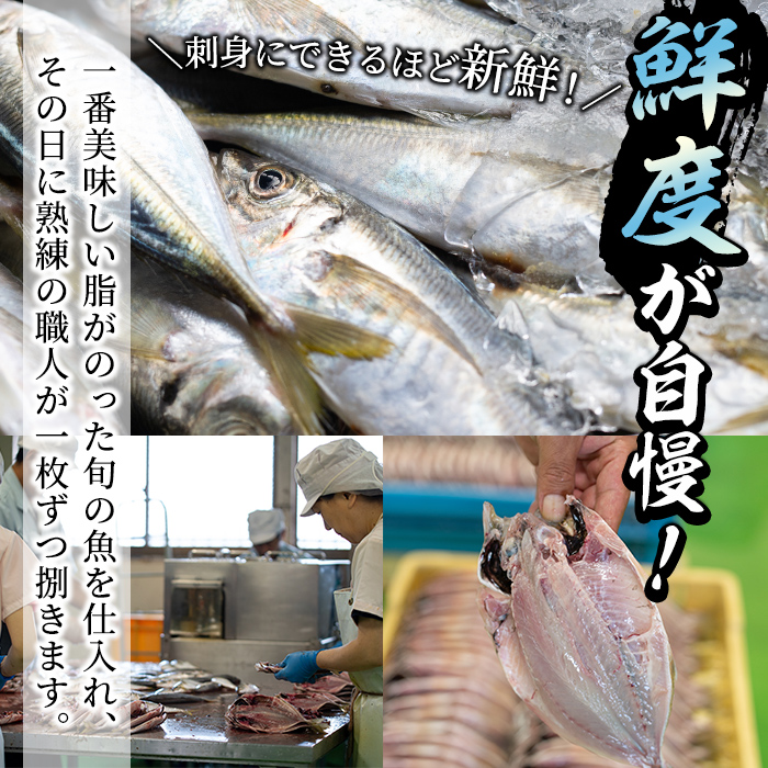 あくねの地サカナづくし(5種) 魚介類 きびなご キビナゴ 鯵 あじ アジ 鯖 サバ さば 鰯 いわし イワシ 干物 ひもの フライ 詰め合わせ セット【又間水産】a-10-50