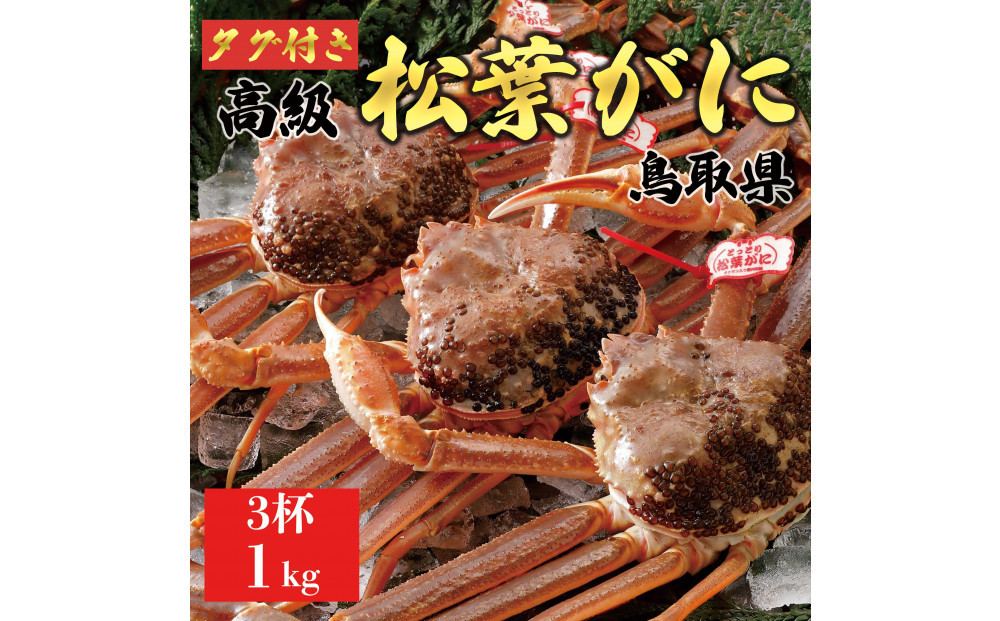 【2025年11月発送】特撰 松葉がに（なま）【ブランドタグ付き】1kg超の大きいサイズ 食べ応えあり 特大3杯