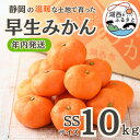 【ふるさと納税】【先行予約】【11月より順次出荷予定】早生みかん約10kg SSサイズ〔鈴木農園〕【1510124】