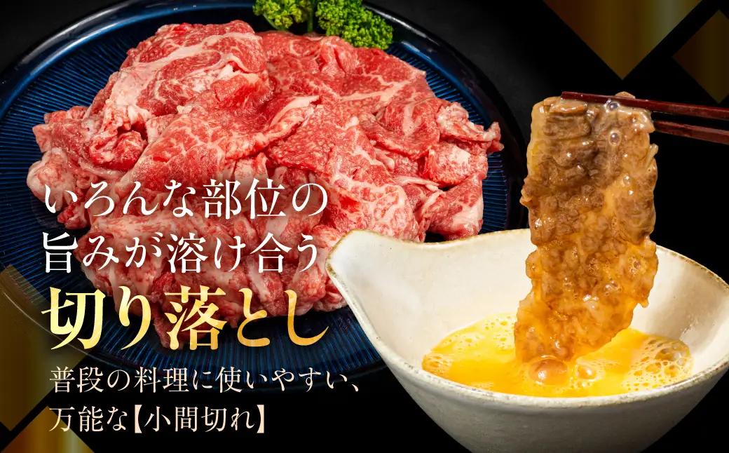 飛騨牛 A5等級 切り落とし 500g | 飛騨牛 ながせ食品 FH025VC13