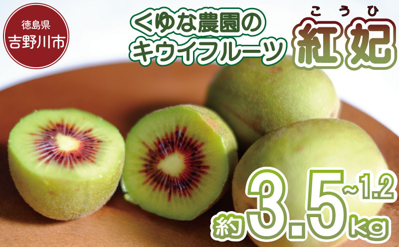 
            訳あり キウイフルーツ 紅妃 1.2～3.5kg 先行予約 2025年10月上旬～ 年内に発送予定 紅妃 レインボーレッド キウイ 国産 果物 デザート スイーツ ケーキ ゼリー ジュース ジャム シャーベット アイス  フルーツ ギフト プレゼント 贈答 送料無料 徳島県 吉野川市 くゆな農園
          