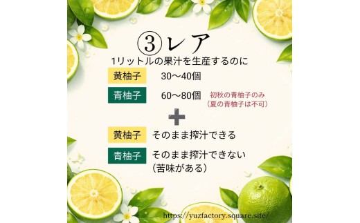 青柚子果汁100%　2000ml(1000ml×2パック)