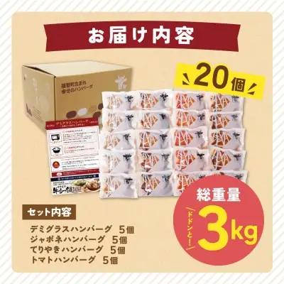 Z61-32R09 【7営業日以内発送】 Best4バーグ 20個セット 4種 ハンバーグ