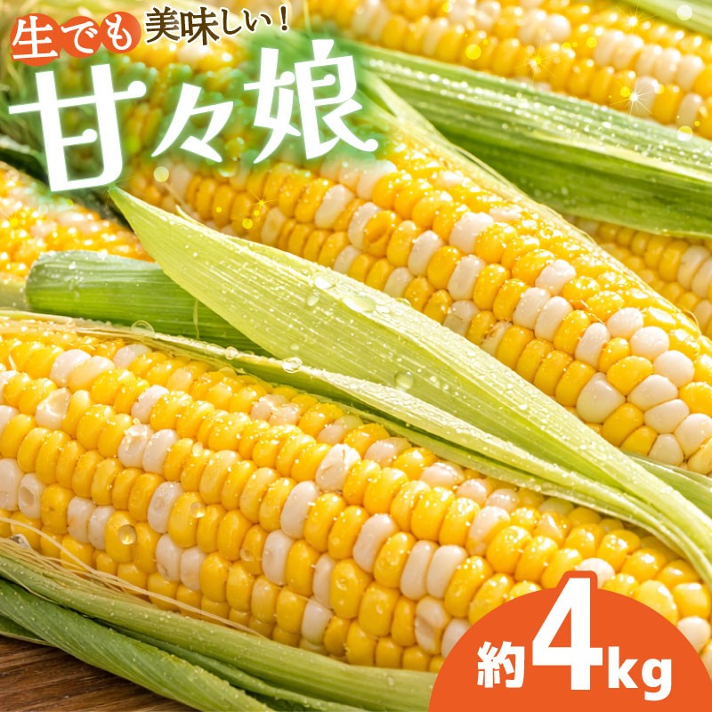 
                  とうもろこし 甘々娘 4kg 先行予約 レシピ付き トウモロコシ コーン スイートコーン 甘い とうもろこしご飯 焼きとうもろこし とうもろこしスープ とうもろこしサラダ とうもろこしバター 蒸しとうもろこし 期間限定 夏 旬 野菜 炒め物 コーンスープ 弁当 惣菜 おかず 森商店 徳島県 吉野川市
                