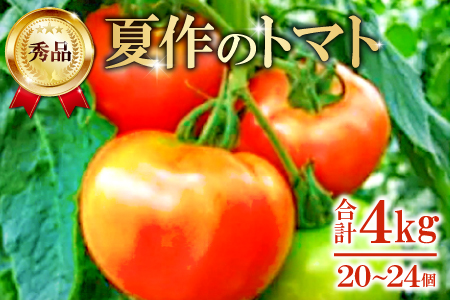 A-166 朝採り「真赤な益田SUNトマト」秀品20～24玉入【初夏】