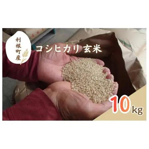 利根町産　コシヒカリ　玄米　10kg ／ 米 こめ コメ お米 おこめ コシヒカリ こしひかり 令和7年産 玄米 ごはん ご飯 10kg 健康志向 茨城県 利根町 産地直送 送料無料