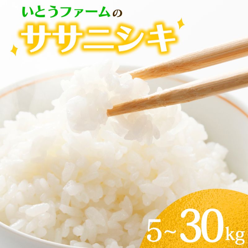 【ふるさと納税】☆総合ランキングイン☆ ≪新米予約≫ いとうファームの 令和7年産 ササニシキ 5~30kg ＆うれしい定期便 選べる容量 | 定期便 米 お米 こめ 白米 ご飯 ライス ササニシキ 産地直送 数量限定 ブランド米 送料無料 ※2025年11月より順次発送予定