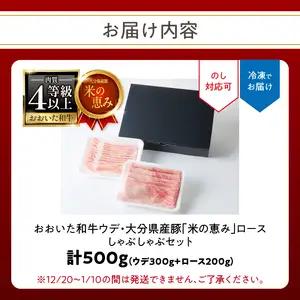 おおいた和牛認定店はしづめ A4等級以上「おおいた和牛」300gと大分県産豚「米の恵み」200gのしゃぶしゃぶセット A01138
