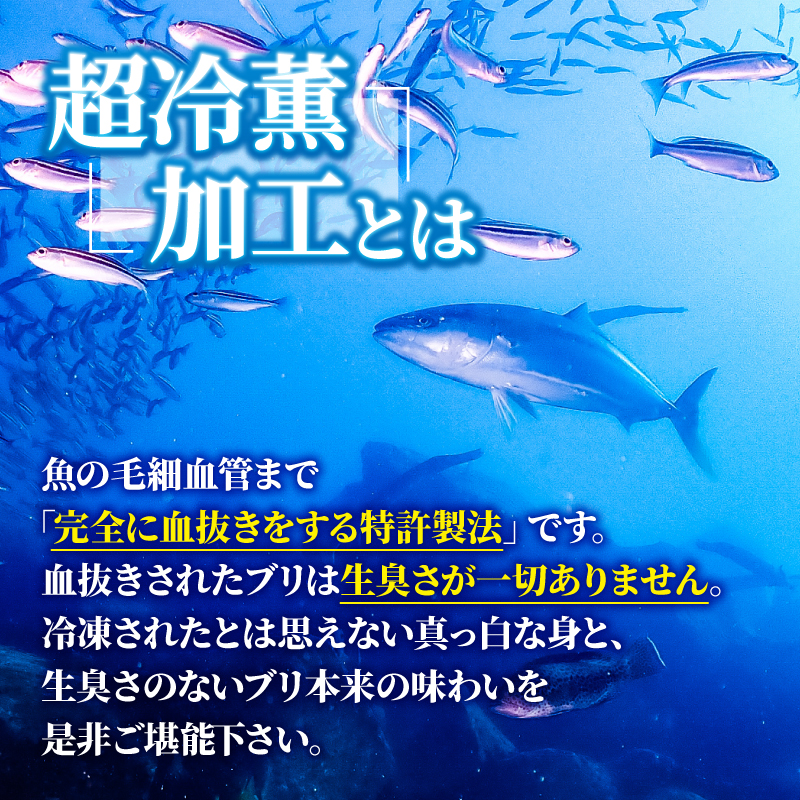 ぶり スライス 冷凍 合計 500g （ 10g × 10スライス × 5パック ） 10000円 鰤 しゃぶしゃぶ ぶりしゃぶ 鰤しゃぶ 鍋 刺身 刺し身 さしみ カルパッチョ 海鮮丼 超冷薫 ぶり