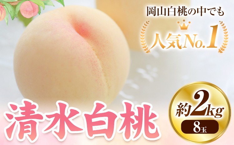 【2026年発送先行予約】清水白桃 ８玉 先行予約 清水白桃 約2kg（８玉） 《2026年7月下旬-8月上旬頃出荷》 桃 清水白桃 白桃 晴れの国おかやま館 フルーツ 果物 果実 岡山県 笠岡市---B-80d---