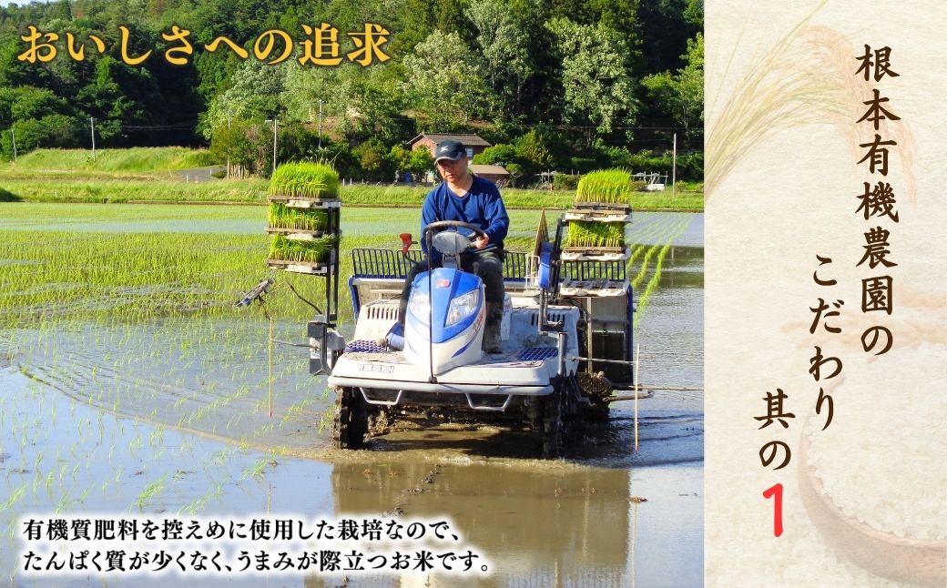 【先行予約】【隔月定期便】JAS有機米 天のつぶ 玄米 5kg×3回 | 令和8年産 根本有機農園 bd005-al