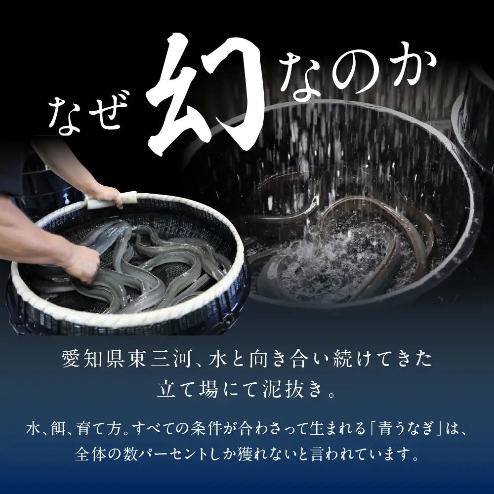 特上 幻の青うなぎ 2尾 うなぎ 丑の日 田原市