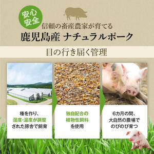 【B05051】鹿児島県産豚バラ モモ ウデ しゃぶしゃぶセット(合計約1.2kg) ぽん酢付き 鹿児島  豚肉 ポーク バラ ウデ モモ しゃぶしゃぶ 生姜焼き 焼肉 バラエティ セット ゆずポン 