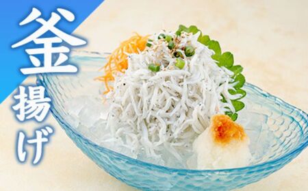 釜揚げ しらす 約 1kg（ 260g ×4）【 とびっちょ しらす 】