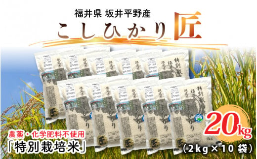 【先行予約】【令和6年産・新米】農薬・化学肥料不使用 コシヒカリ匠  20kg (2kg × 10袋)（玄米）【2024年10月上旬以降順次発送予定】 [G-2903_02]