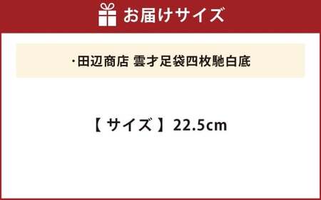 田辺商店 雲才足袋四枚馳白底 22.5cm