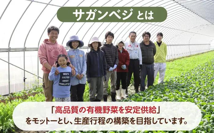 【全6回定期便】ビーガン米 玄米 計60kg（10kg×6回） / 佐賀県 / 株式会社サガンベジ [41ANCH007]