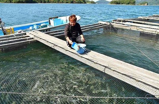 このお品は松本水産様からいじめや不登校に悩む子どもの相談支援と復学準備の学習支援の応援品としてご提供いただいております