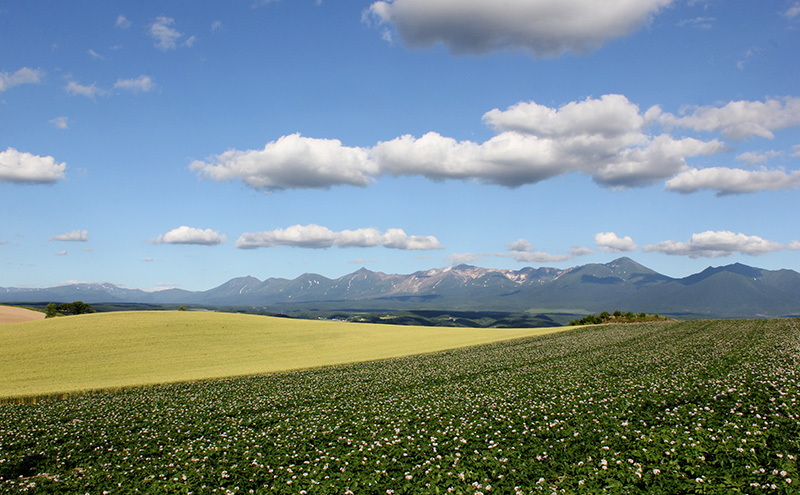北海道上富良野町 ANAトラベラーズホテル割引クーポン3,000点分