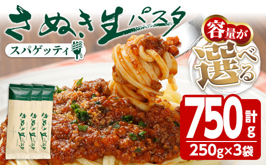 ＜容量が選べる＞さぬき生パスタ(スパゲッティ) (750g) パスタ スパゲティ デュラムセモリナ コシ もちもち さぬき 香川県 半生 小麦 麺 【man192】【こんぴらや販売】