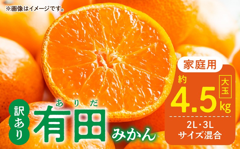 
            DZ6218_【ふるさと納税】 ご家庭用 有田みかん 和歌山 大玉(2L 3Lサイズ混合) 約4.5kg
          