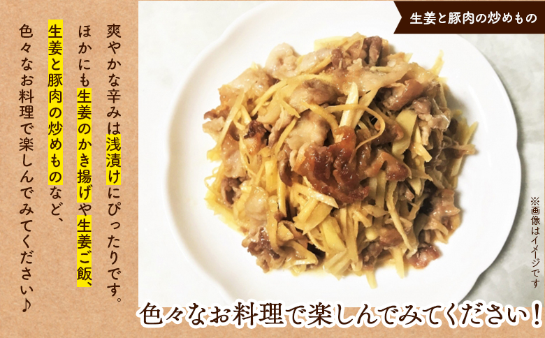 香南市産 別役の生姜 2kg - しょうが ショウガ ジンジャー 薬味 調味料 国産 株式会社べっちゃく 高知県 香南市 bc-0014