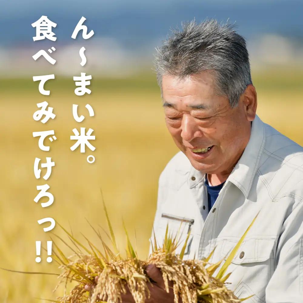 雪若丸 米 20kg 令和7年産 6月下旬発送 山形県産 雪若丸 米