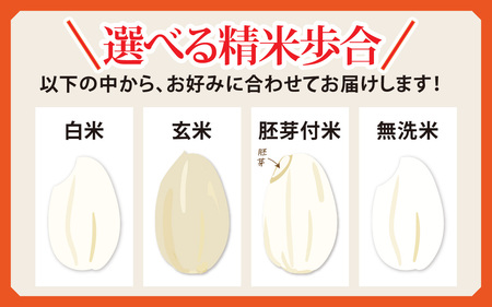 【胚芽付米】【定期便6ヶ月連続】【先行予約】令和6年産 新米 ふくい東郷米 特別栽培米 農薬70％減 コシヒカリ 3kg×6ヶ月 合計18kg[E-020022_03]