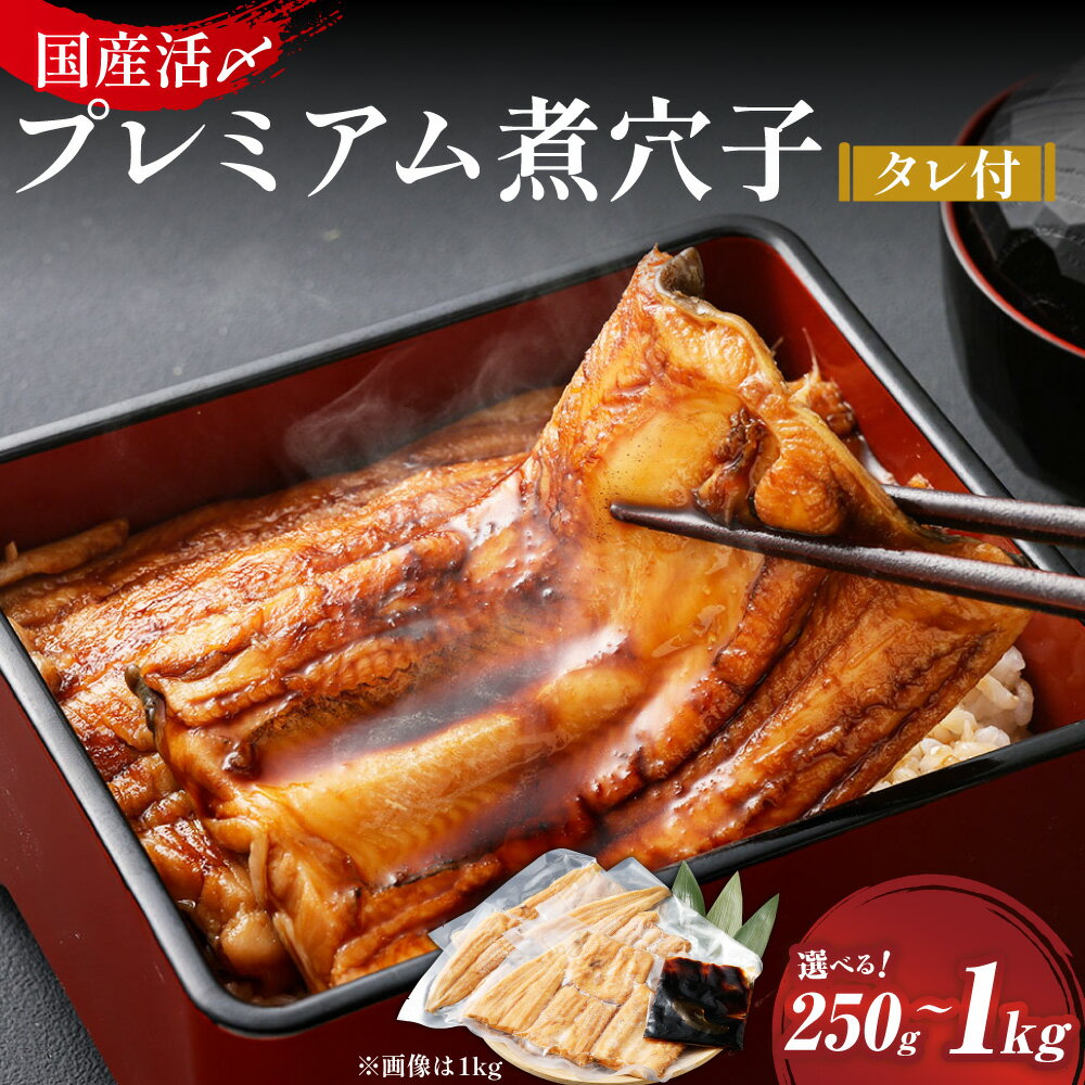 【ふるさと納税】飯田商店 国産 活〆 プレミアム 煮穴子 タレ（50g）付 ＜選べる内容量＞ 250g×1袋 / 計500g (250g×2袋) / 計1kg (250g×4袋) | 穴子 アナゴ あなご 魚介類 水産物 無添加調理 惣菜 おかず ご飯のお供 海鮮 穴子丼 冷凍 三重県 桑名市 送料無料