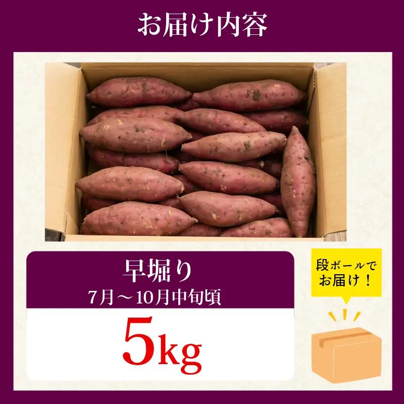 訳あり なると金時 5kg 早掘り さつまいも 鳴門金時