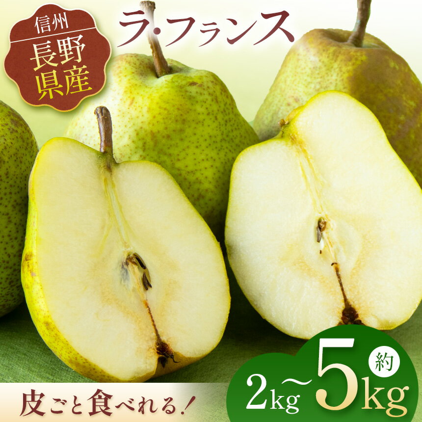 【ふるさと納税】【選べる内容量】 お好みの硬さをドンピシャで。皮ごと 食べられる ラフランス 約2kg 約3kg 約5kg 【 先行予約 】 | ふるさと納税 果物 フルーツ ラフランス らふらんす 梨 なし ナシ 長野県 松本市 西洋梨 くだもの ふるーつ