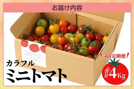 【4回定期便】【先行受付】2027年1月より順次発送 カラフルミニトマト6種 1kg ミニトマト プチトマト 定期便 農家直送 たにぐちファーム Ricotomato～とりこになるトマト～ F-25