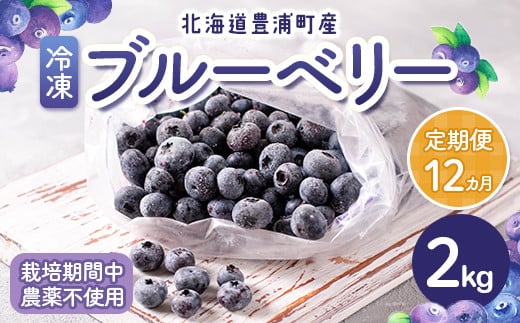 
【定期便12カ月】北海道 豊浦町産 冷凍 ブルーベリー 2kg 栽培期間中農薬不使用 【ふるさと納税 人気 おすすめ ランキング 果物 ブルーベリー 冷凍ブルーベリー 国産ブルーベリー 濃厚ブルーベリー 大容量 無農薬 おいしい 美味しい あまい 新鮮 定期便 北海道 豊浦町 送料無料】 TYUS004
