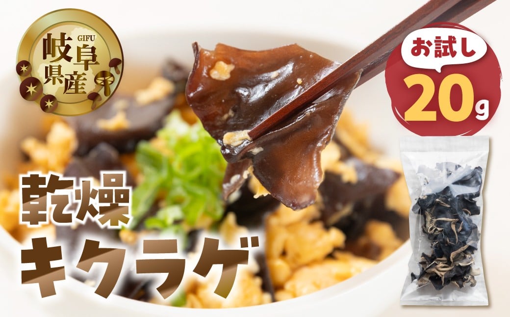 
            【お試し】乾燥 キクラゲ 約 20g メール便 サイズ 混合 不揃い おまかせ 簡易梱包 訳あり 訳アリ 料理 野菜 栽培期間中 農薬不使用 岐阜県産 本巣市 国産 きのこ キノコ きくらげ 産地直送 新鮮 数量限定 モトスマッシュ [mt1918] 4000円 4千円
          