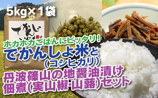 【令和7年産 2025年9月以降順次発送】丹波篠山の地醤油漬、佃煮セット　令和6年産 でかんしょ米5kgと実山椒・山蕗